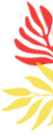vector