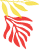 vector